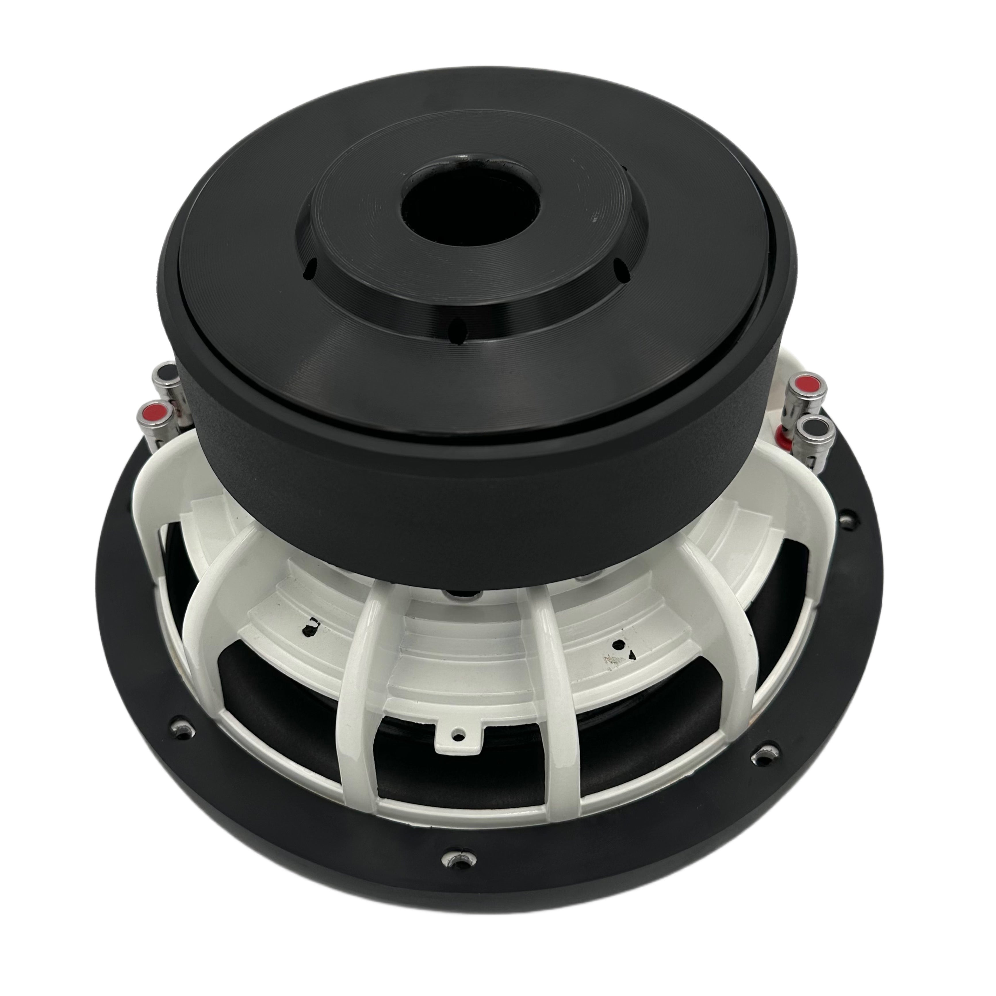 10D4 800 RMS – Lazer